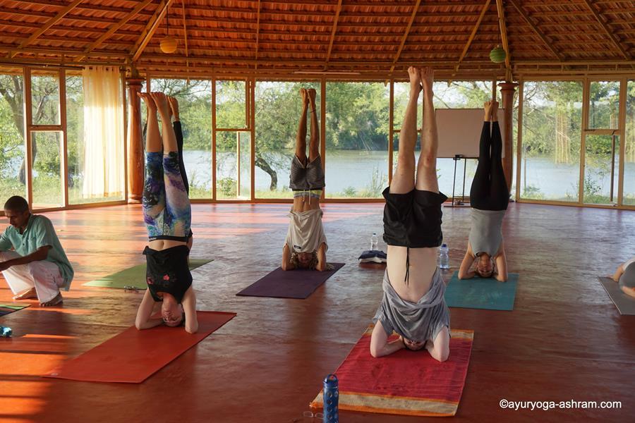 Yoga India (26)